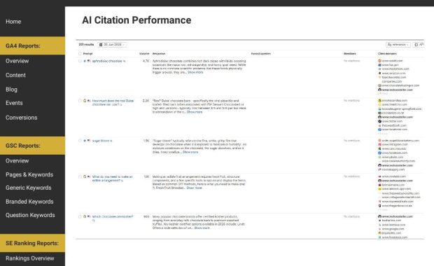 /home/claude/lechoc_case_study/shots/jun_ai_citation_performance.jpg